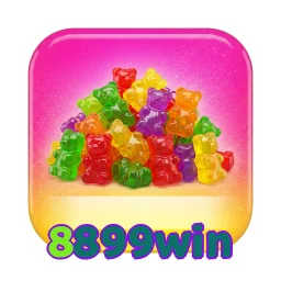8899win